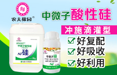 r(nng)ڈ@＼g(sh)޹˾ 